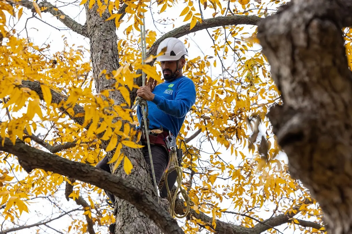 Skilled Storm Damage Cleanup crew working in Grand Forks Afb