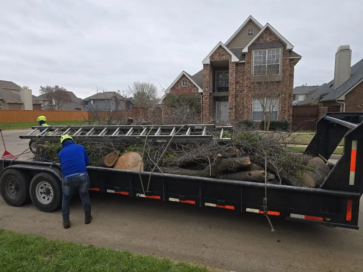 Expert Tree Fertilization with proper safety equipment in Grand Forks Afb